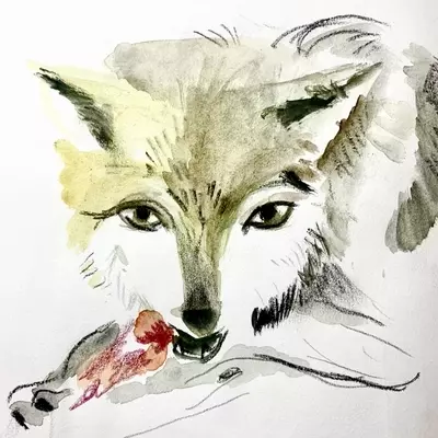 a watercolour illustration of a wold eating a bone 